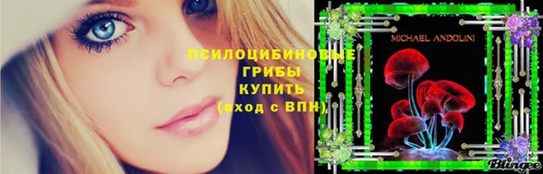 spice Волоколамск