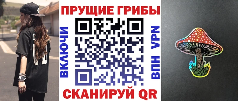 сколько стоит Зарайск OMG сайт Галлюциногенные грибы ЛСД